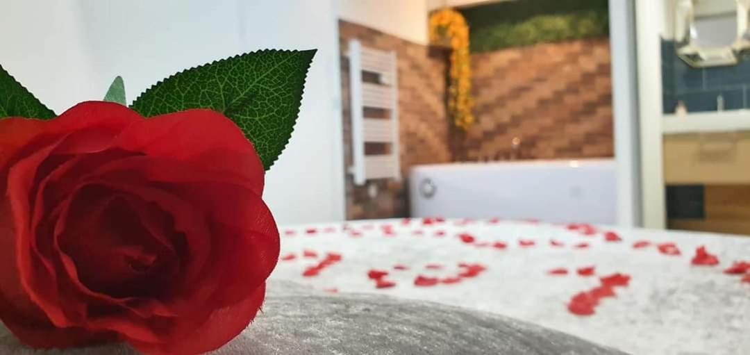 Love Rooms De La Presqu'Ile Saint-Vincent-de-Paul  Buitenkant foto